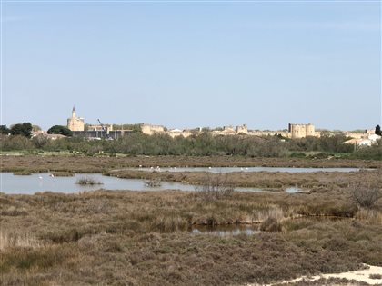 Naturpark les Marettes in Aigues-Mortes