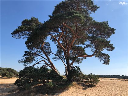 Heute waren wir schon froh um die Stollenpneus unserer Bikes im Naturreservat