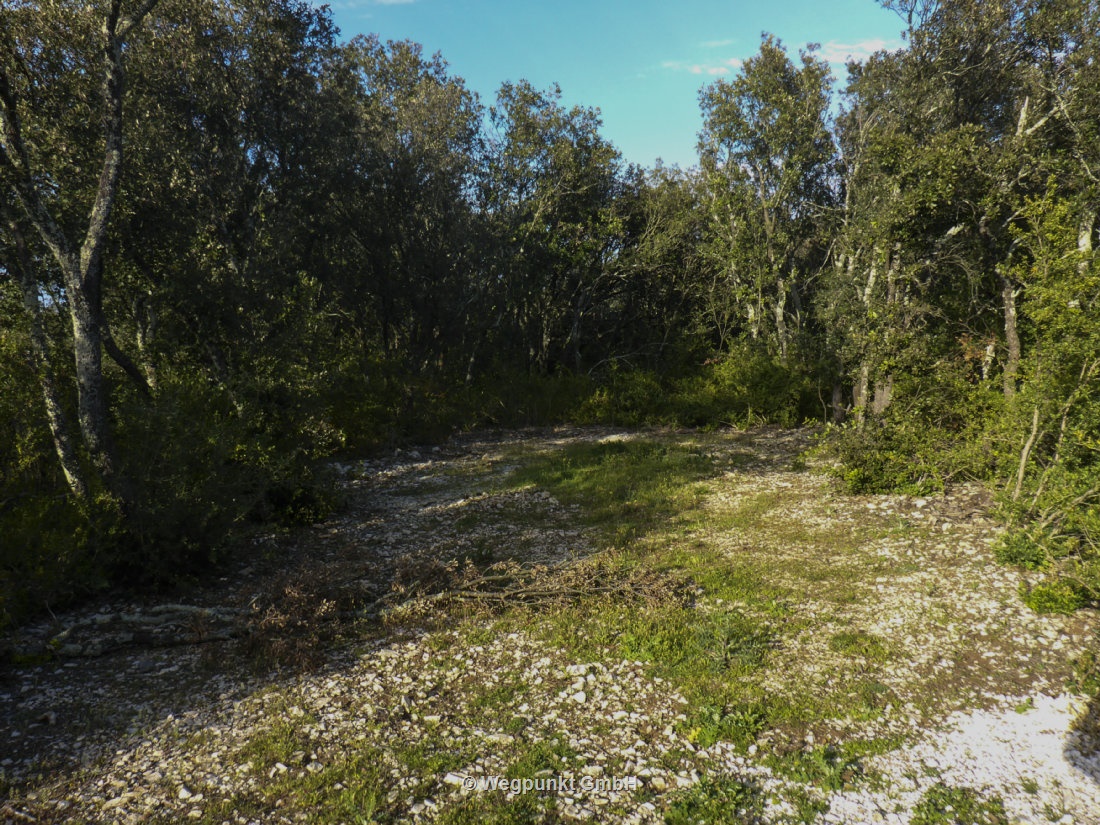 Ein Stellplatz mitten in der Natur