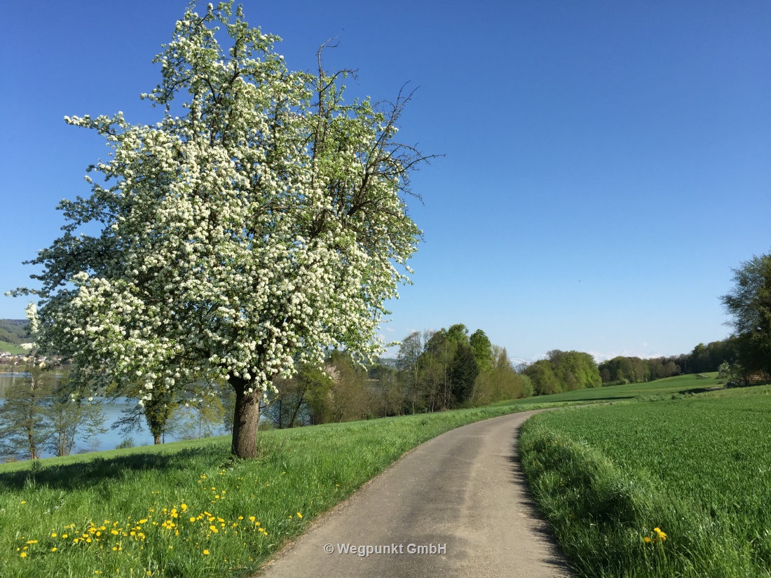 Die Farben sind echt, das intensive Grün ist rund um den See zu sehen