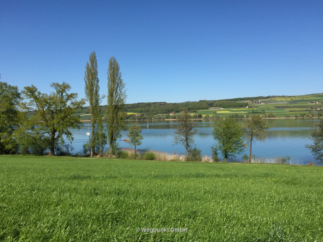 Trotz wenig Wind wird auch schon wieder gesgelt