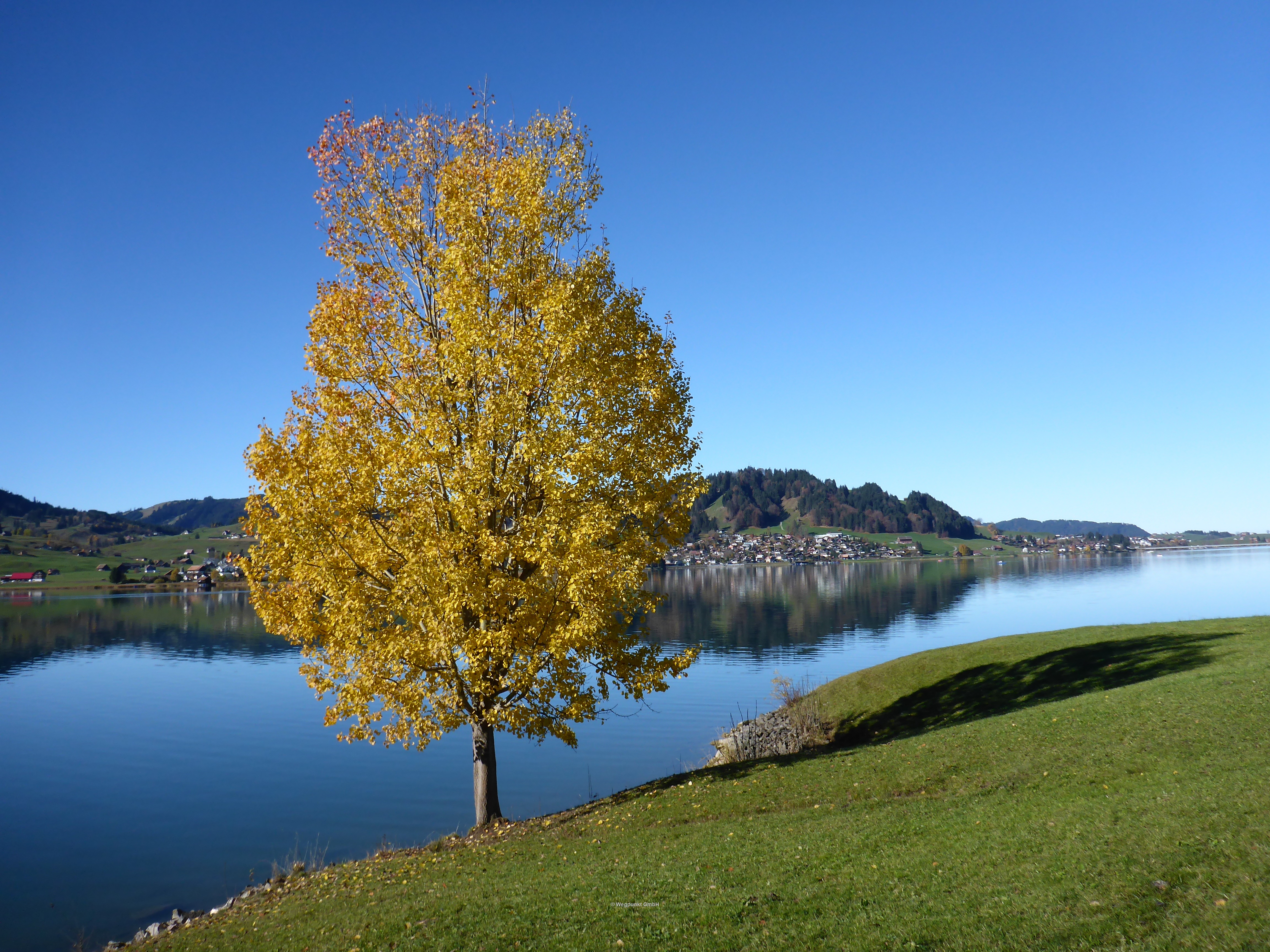und noch einmal Herbstimmung pur, bevor es wieder in den Hochnebel geht