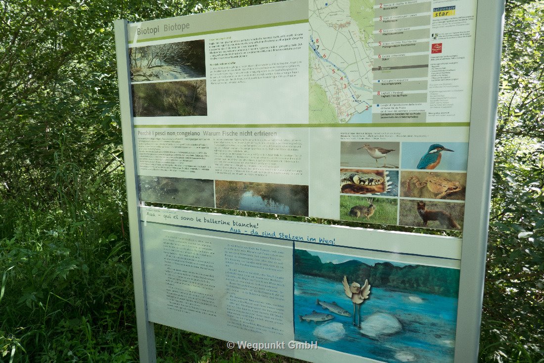 Endlich wissen wir, warum die Fische im Winter nicht erfrieren