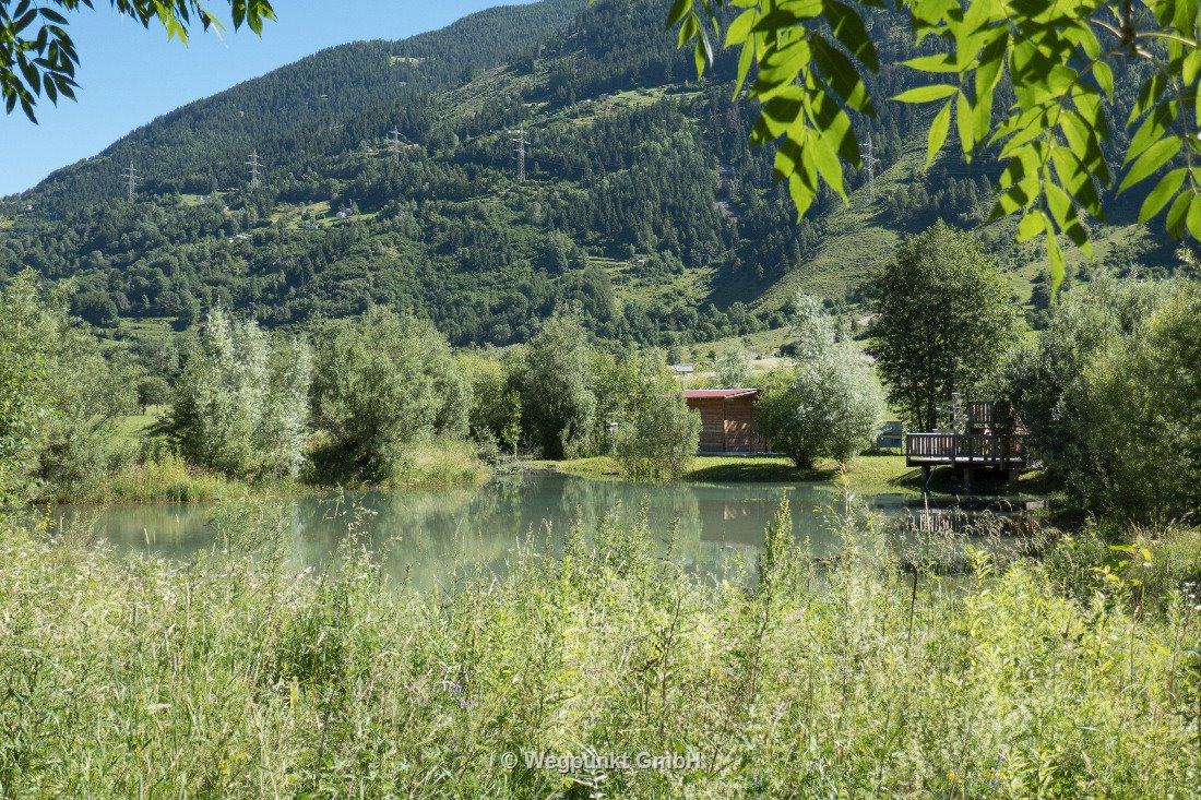 Der Laichplatz der Bachforellen