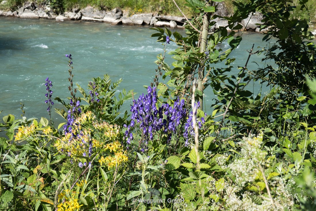 Der Poschiavino entlang nach Poschiavo