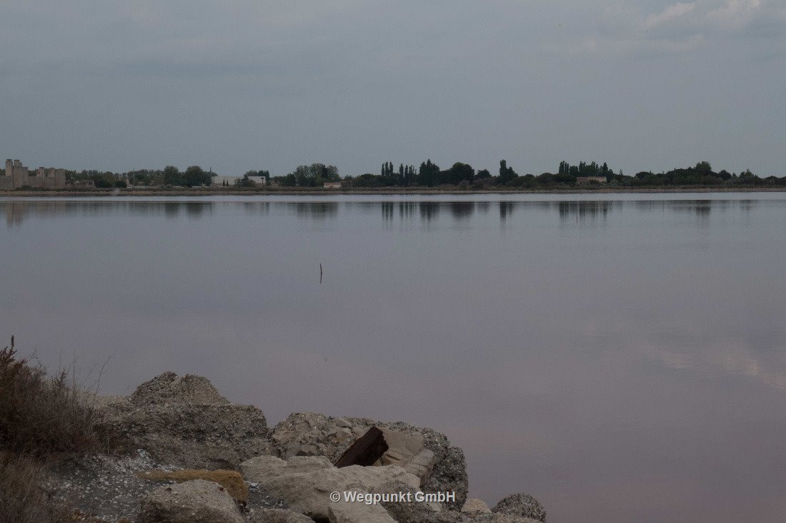 In der Saline von Aigues-Mortes