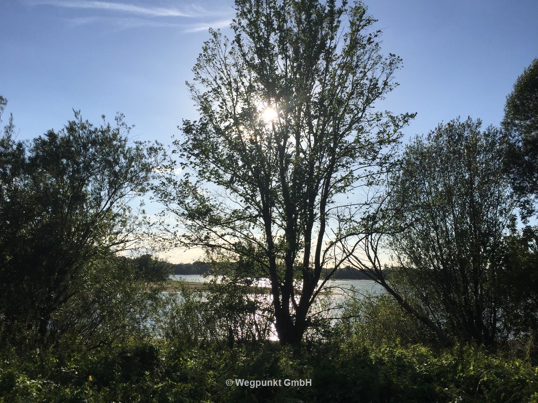 Die Aussicht auf den Stausee