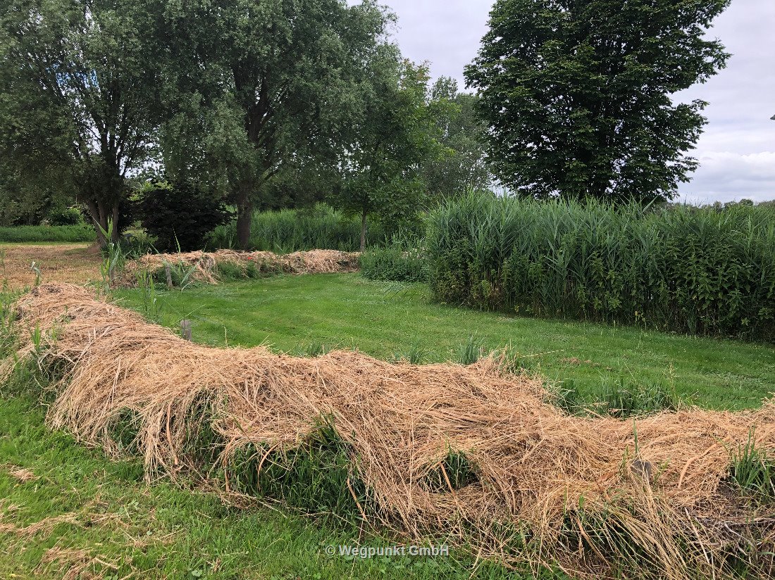 Das sollte mal ein Gartenring werden