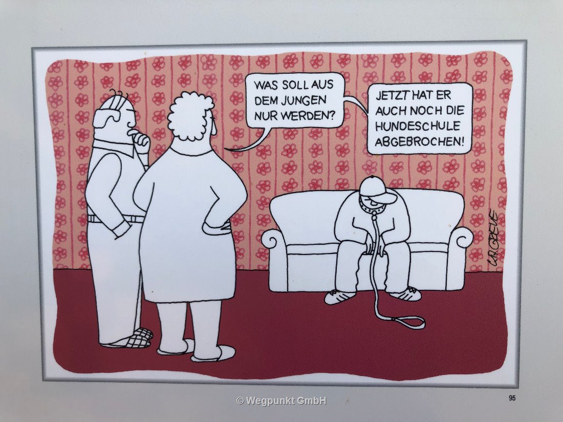 Geniale Cartoons in Postergrösse in Dierhagen