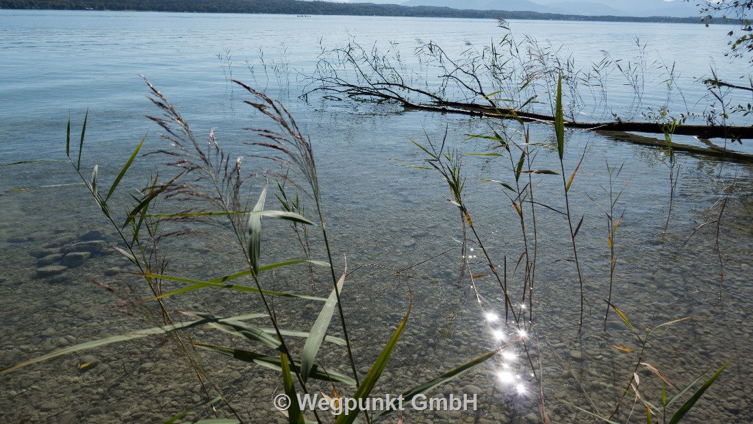 Starnbergersee