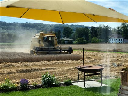 Zuhause wäre es auch schön, aber der Globi scharrt mit den Pneus