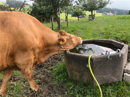 Bauernhofleben hautnah - wer Berührungsängste hat, ist hier falsch