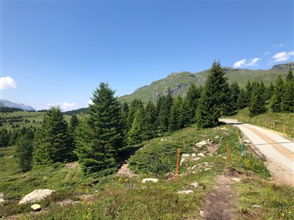 Der Weg auf die Alp Flix